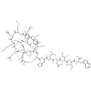 內(nèi)皮縮血管肽 1 (豬,人),Endothelin 1 (swine, human)