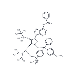 Bz-rA Phosphoramidite|T37107|TargetMol