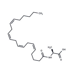 N-Arachidonoyl-L-Alanine|T37216|TargetMol