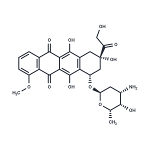 阿霉素,Doxorubicin