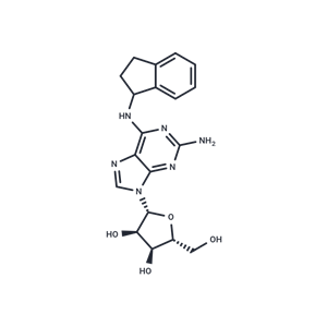 化合物 (R)-N-(2,3-Dihydro-1H-indenyl)guanosine|TNU0024|TargetMol