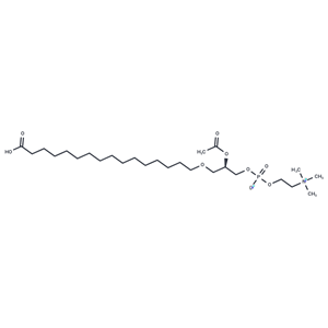 PAF C-16 Carboxylic Acid|T37268|TargetMol