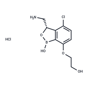 Ganfeborole 鹽酸鹽|T11497|TargetMol