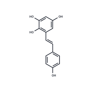 化合物 MAO-A inhibitor 1,MAO-A inhibitor 1