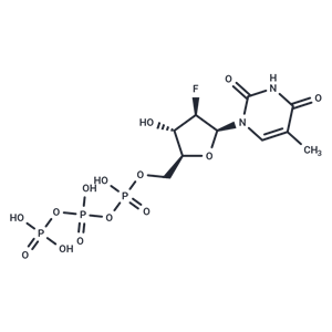 化合物 Clevudine triphosphate|T6446L|TargetMol