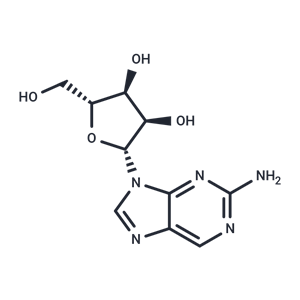 化合物 2-Amino purine riboside; 2-amino-9-(beta-D-ribo-furanosyl)-9H-purine|TNU0053|TargetMol