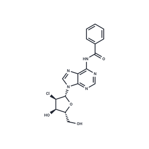 化合物 N6-Benzoyl-2’-chloro-2’-deoxyadenosine|TNU1084|TargetMol