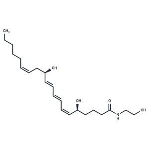 Leukotriene B4 Ethanolamide|T37619|TargetMol