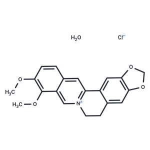 化合物 Berberine chloride (hydrate)|T4520|TargetMol