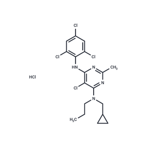 化合物 NBI-27914 hydrochloride|T23057|TargetMol