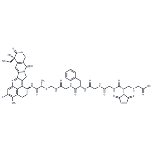 化合物 Gly-Mal-GGFG-Deruxtecan 2-hydroxypropanamide|T84716|TargetMol