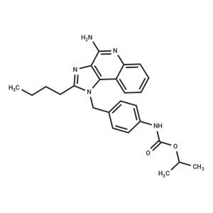 化合物 TLR7 agonist 16|T79751|TargetMol