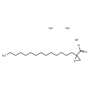 化合物 Palmoxirate sodium hydrate|T68692|TargetMol