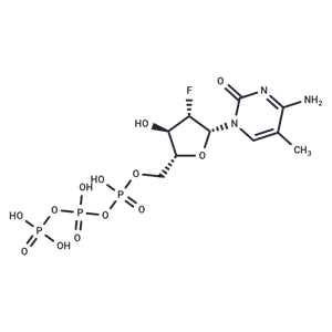 化合物 2’-Deoxy-2’-fluoro-5-methyl-araobinocytidine ?5’-triphosphate triethyl ammonium salt|TNU1091|TargetMol