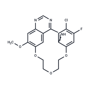 化合物 EGFR-IN-73,EGFR-IN-73