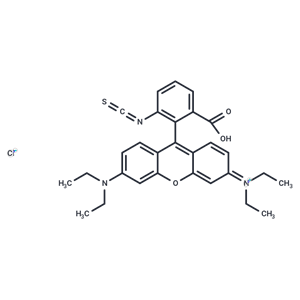 羅丹明 B 異硫氰酸酯,RBITC [Rhodamine B 5-isothiocyanate]