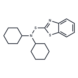 化合物 N,N-Dicyclohexyl-2-benzothiazolesulfenamide|T21087|TargetMol