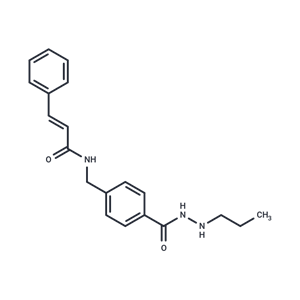 HDAC3 Inhibitor,HDAC3 Inhibitor