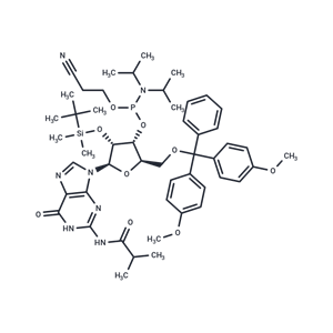 化合物 I-bu-rG Phosphoramidite|T66055|TargetMol