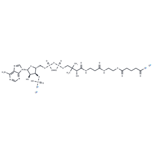 化合物 Glutaryl coenzyme A lithium|T82293|TargetMol