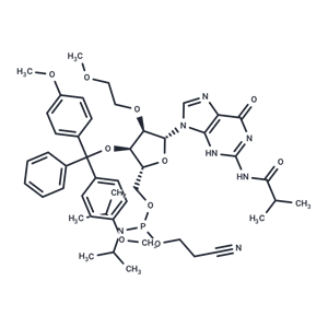 化合物 Rev 2’-O-MOE-G(iBu)-5’-amidite|TNU1530|TargetMol