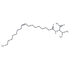 N-Oleoyl Valine|T35921|TargetMol