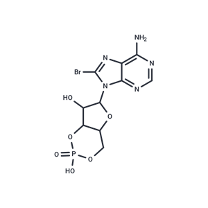 8-bromo-Cyclic AMP|T35424|TargetMol