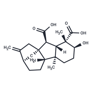 化合物 Gibberellin A14,Gibberellin A14