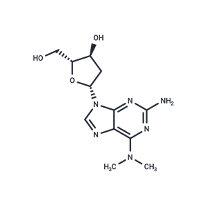 化合物 2-Amino-2’-deoxy-N6,N6-dimethyl-2’-adenosine|TNU1538|TargetMol