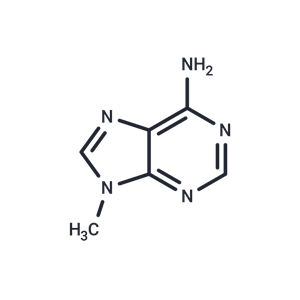 化合物 9-Methyladenine|TNU0908|TargetMol