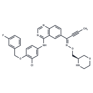 化合物 Epertinib|T11213L|TargetMol