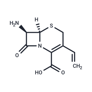 化合物 (6R,7R)-7-Amino-8-oxo-3-vinyl-5-thia-1-azabicyclo[4.2.0]oct-2-ene-2-carboxylic acid,(6R,7R)-7-Amino-8-oxo-3-vinyl-5-thia-1-azabicyclo[4.2.0]oct-2-ene-2-carboxylic acid