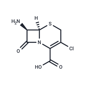 化合物 7-Amino-3-chloro cephalosporanic acid|T66035|TargetMol