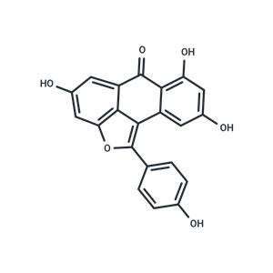 化合物 Diptoindonesin G,Diptoindonesin G