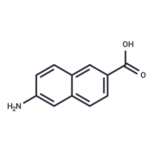 化合物 6-Amino-2-naphthoic acid|T65285|TargetMol