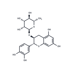 化合物 Catechin 3-rhamnoside|T4242|TargetMol