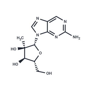 化合物 2-Amino-9-(2-C-methyl-β-D-ribofuranosyl)-9H-purine|TNU0097|TargetMol