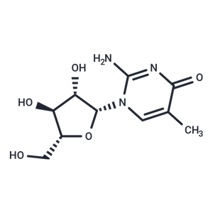 化合物 2-Amino-1-beta-D-arabinofuranosyl-5-methyl-4(1H)-pyrimidinone|TNU0353|TargetMol