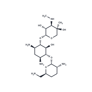 化合物 Gentamicin C1a|T74669|TargetMol