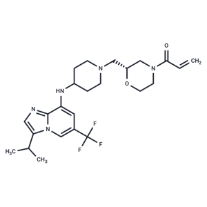 CDK7/9-IN-1|T40353|TargetMol