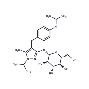 化合物 Remogliflozin,Remogliflozin