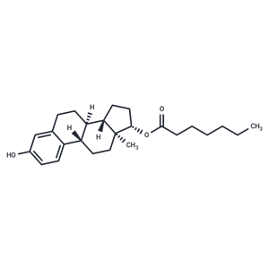 化合物 Estradiol enanthate|T65147|TargetMol