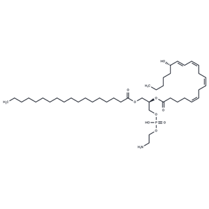 1-Stearoyl-2-15(S)-HETE-sn-glycero-3-PE|T37284|TargetMol