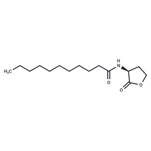 N-undecanoyl-L-Homoserine lactone|T37879|TargetMol