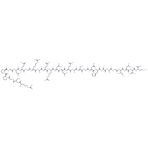 化合物 [Ala11,D-Leu15]-Orexin B(human),[Ala11,D-Leu15]-Orexin B(human)