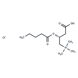 Valeryl-L-carnitine (chloride)|T38267|TargetMol