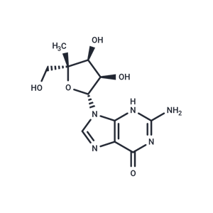 化合物 4’-Methylguanosine|TNU0248|TargetMol