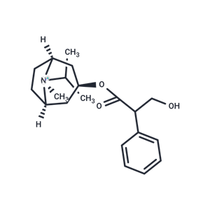 化合物 Ipratropium Free Base|T69025|TargetMol