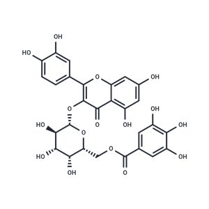 槲皮素3-O-(6