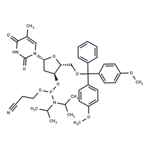 DMT-dT Phosphoramidite,DMT-dT Phosphoramidite